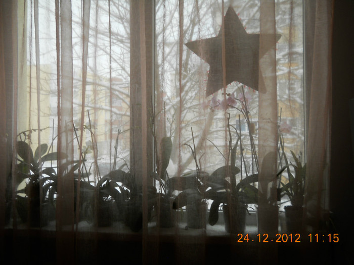 tot in grup - DECEMBRIE 2012