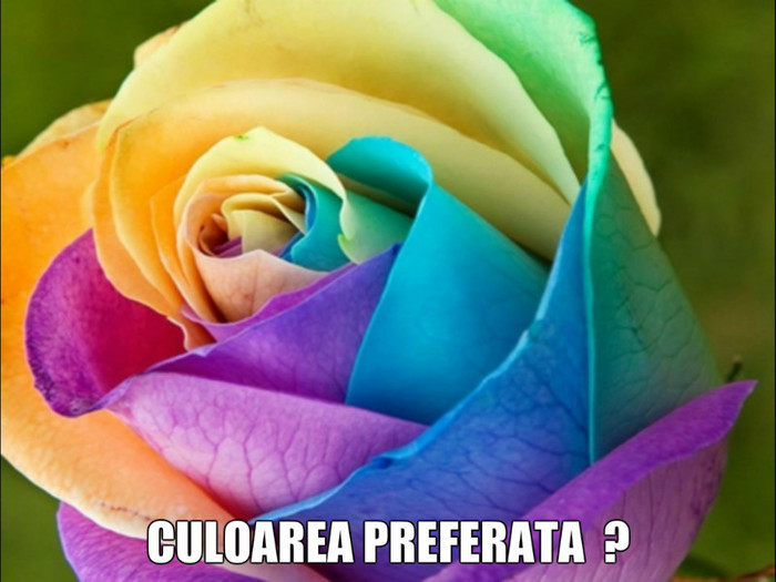 culoarea preferata - Culori jucause