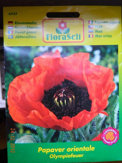 Mac peren, demult imi doream...