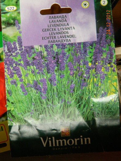 Lavanda, noua pasiune