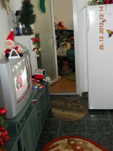25.12.2012 018