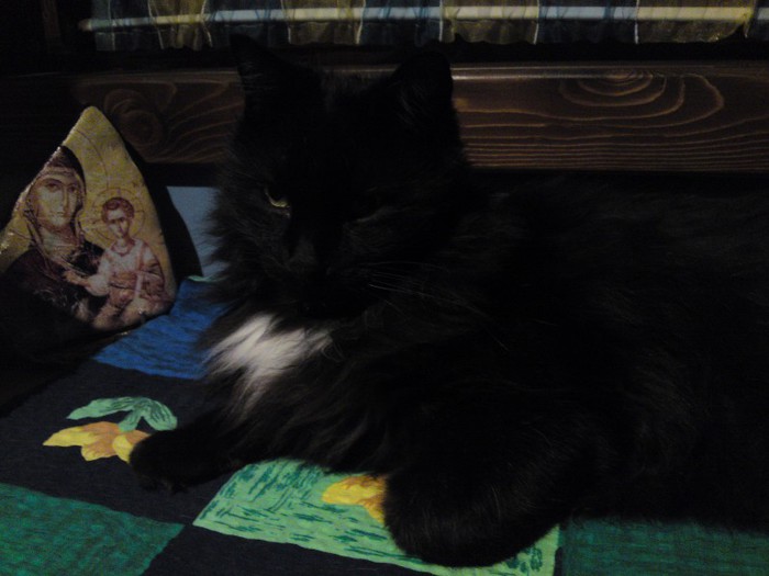 005 - Animalutele mele