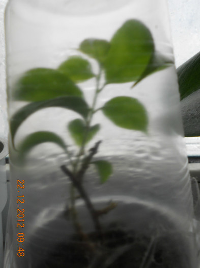 DSCN2501