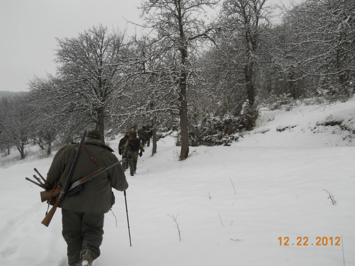 DSCN3191 - Hranitor pentru  capriorii 2012