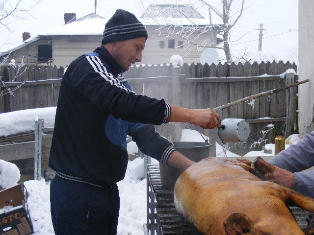 DSCF0695 - Niste porci