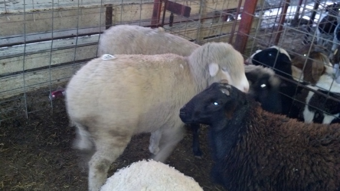 2012-12-22_06-45-42_74