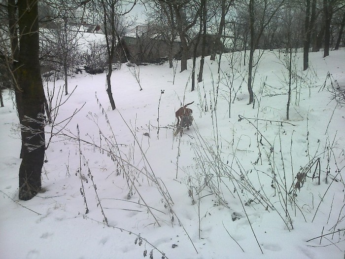 FĂ©nykĂ©p0480[1]