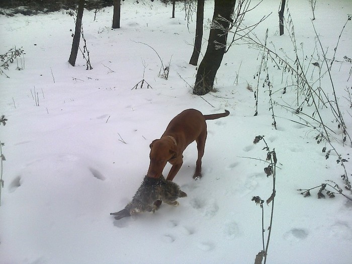 FĂ©nykĂ©p0479[1]