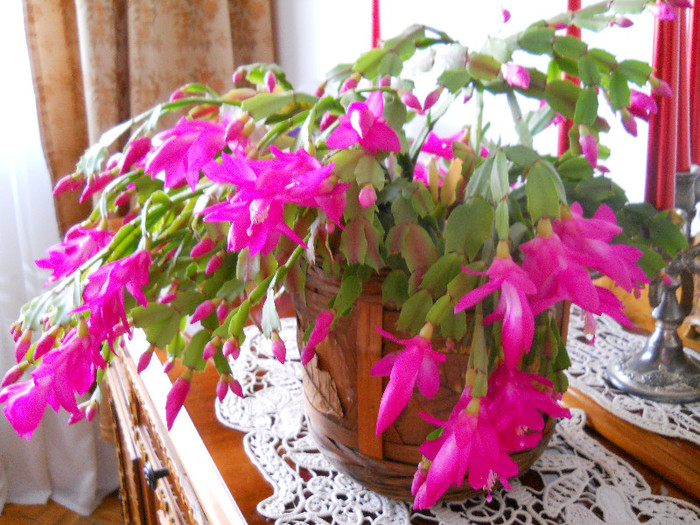 DSCN0385