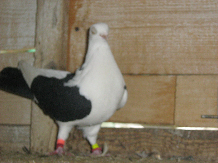 IMG_1143