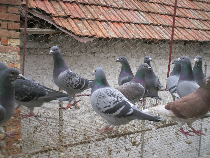 PICT0013