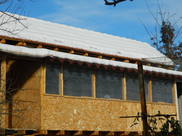 voliera; voliera - neterminata
