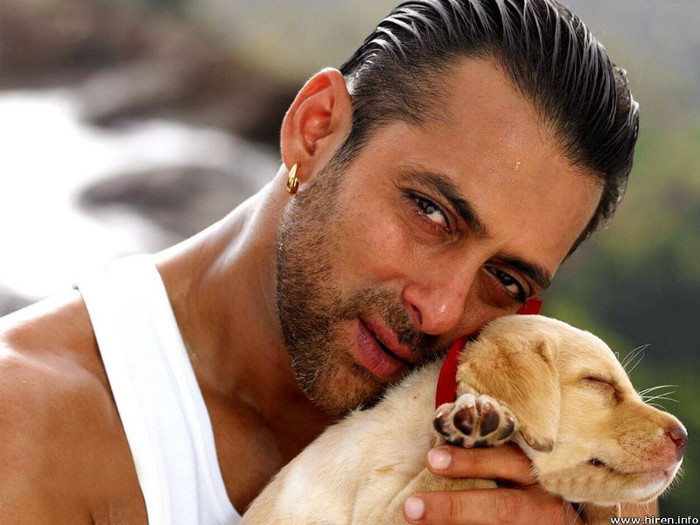 Salman Khan - wallpapers with indian stars