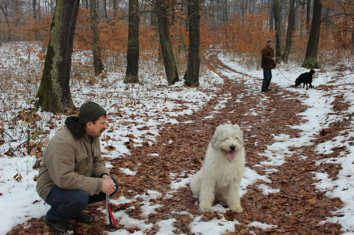 ziua 2 055 - o noua membra a familiei-MARA-CIOBANESC MIORITIC