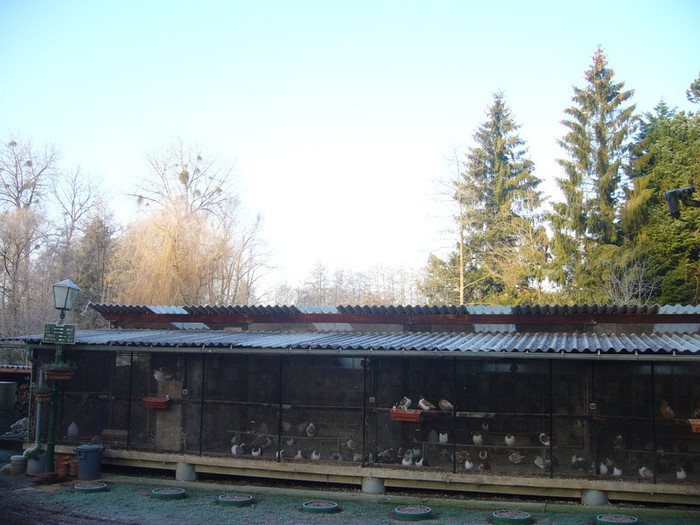 15012012001