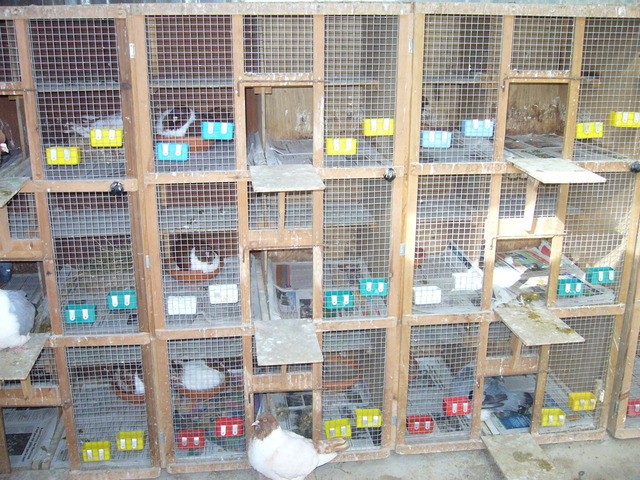 pic1539