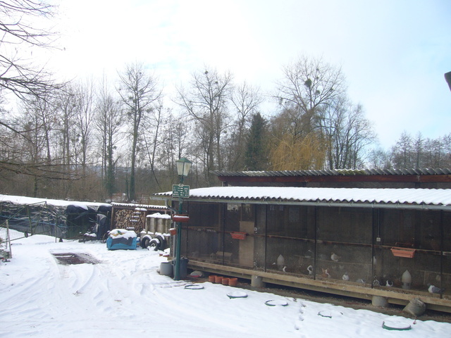 pic3990
