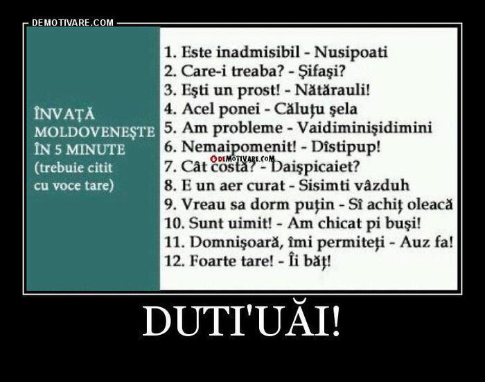 529355_2576876160378_1808607213_1540684_1234708144_n