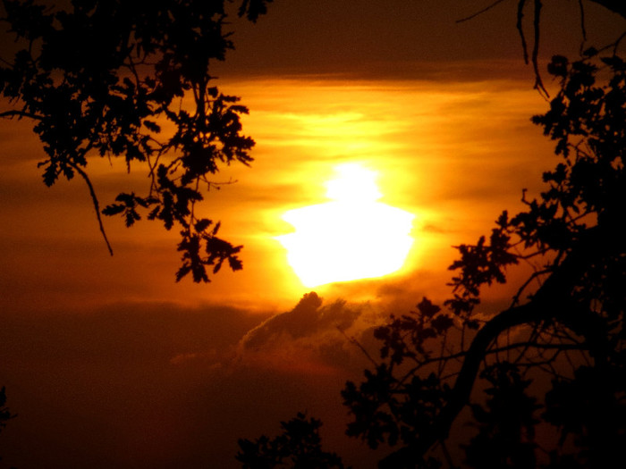 IMG_0241; APUS DE SOARE
