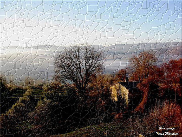 65134_404180109662829_1547563933_n