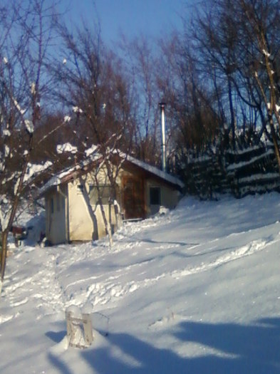 IARNA 2012 - Casa iarna