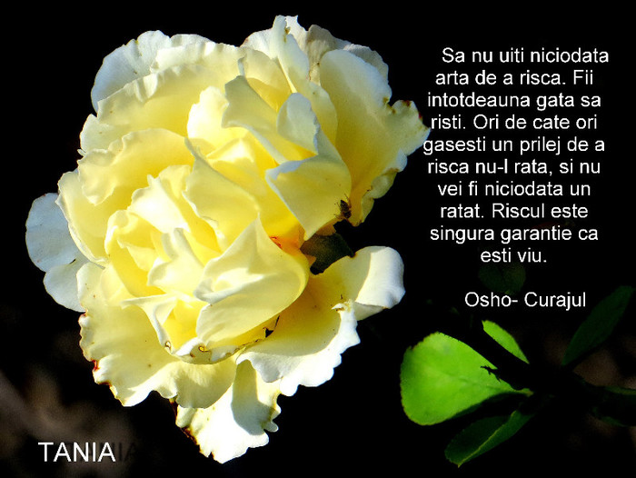 DIVERSE-SEPTEMBRIE-2012 068