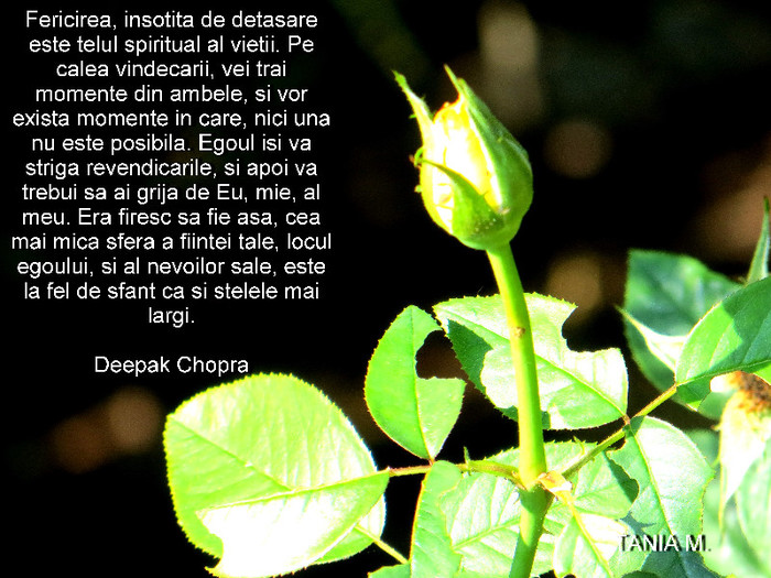 DIVERSE-SEPTEMBRIE-2012 076