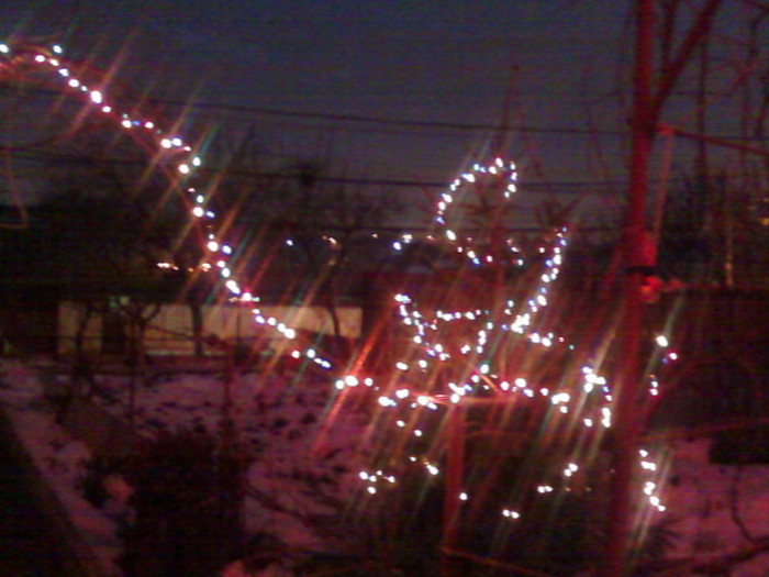 Fotografie-0003 - Sarbatorile de iarna