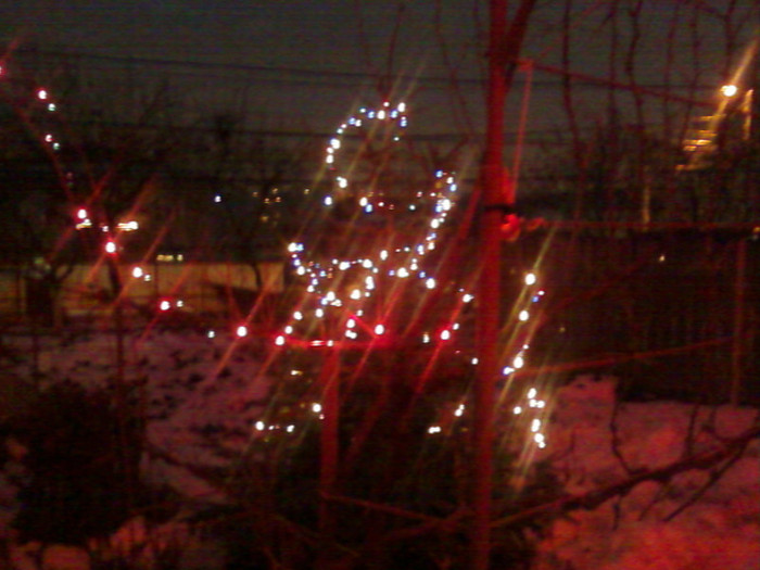 Fotografie-0005 - Sarbatorile de iarna