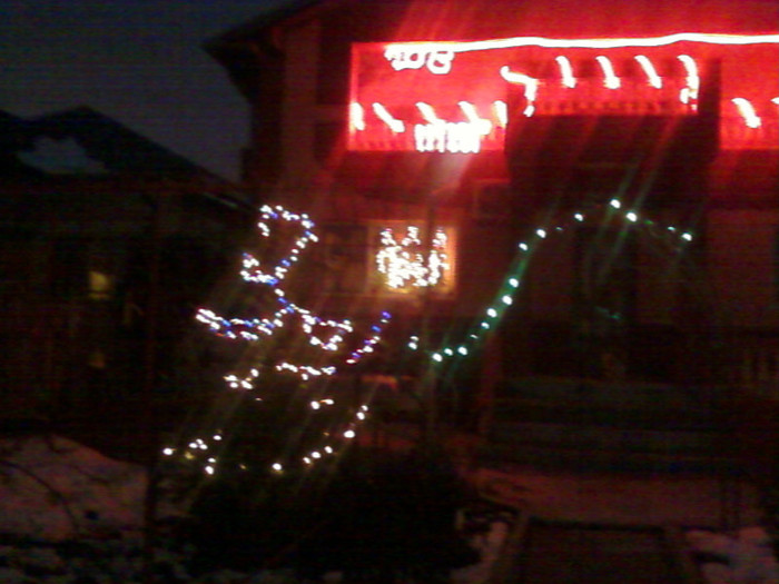 Fotografie-0008 - Sarbatorile de iarna