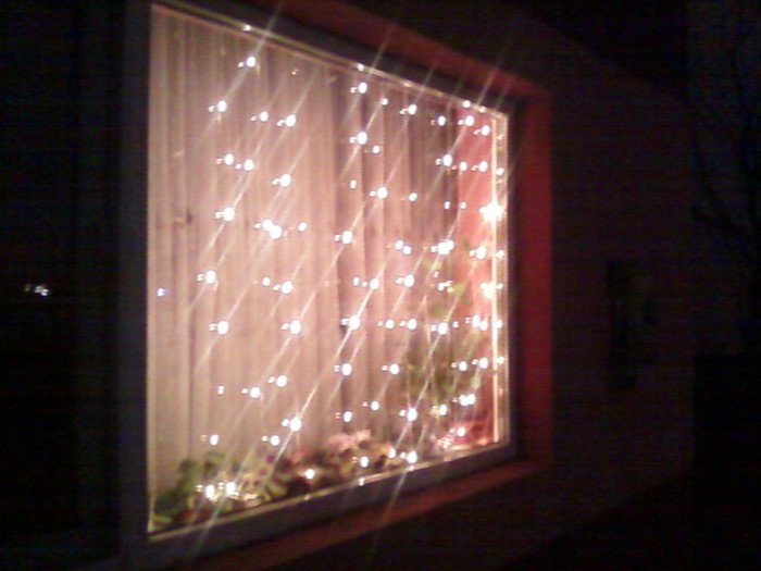 Fotografie-0019 - Sarbatorile de iarna