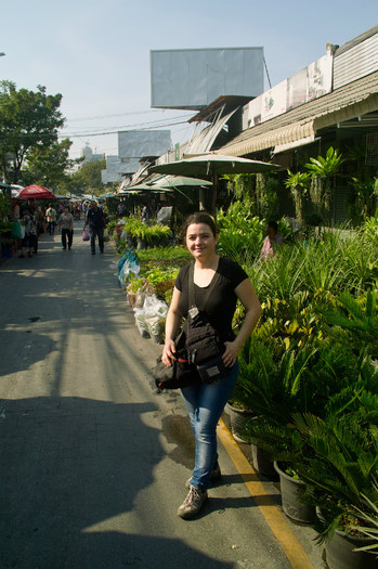 SDIM7112 - Thailand - Chatuchak - plants 2012