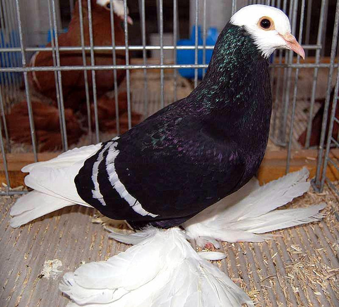 282899_10151327877909311_1439451326_n