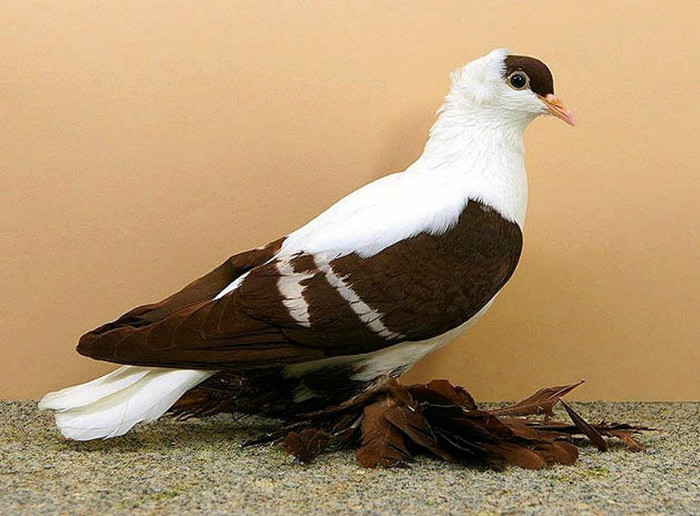 547995_10151335863424311_867710179_n