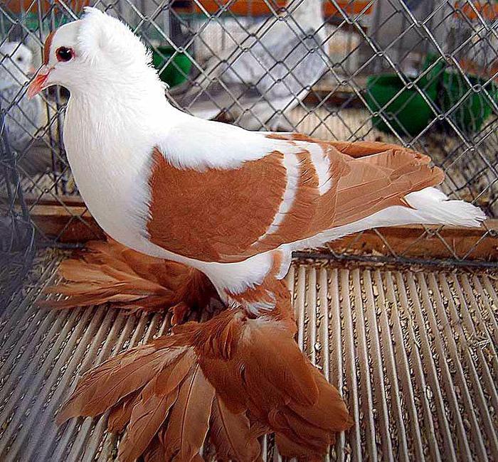 27993_10151327847789311_1373838275_n