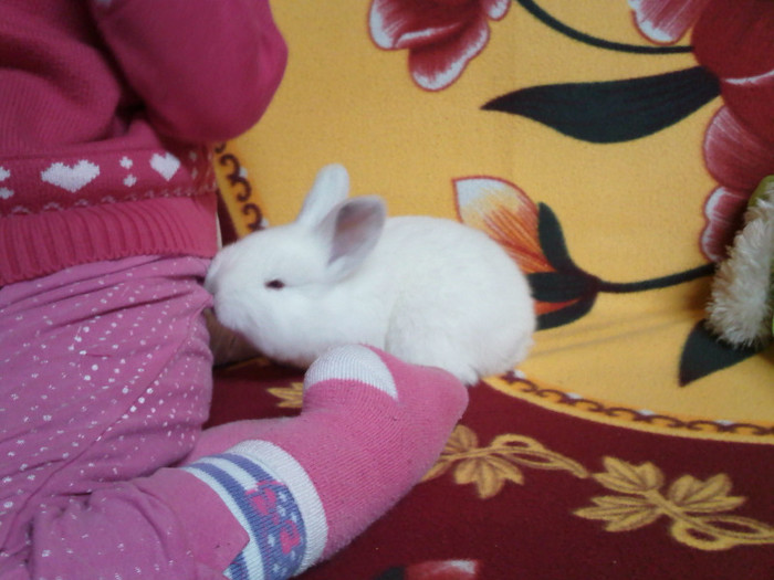 Ii plac pantaloni