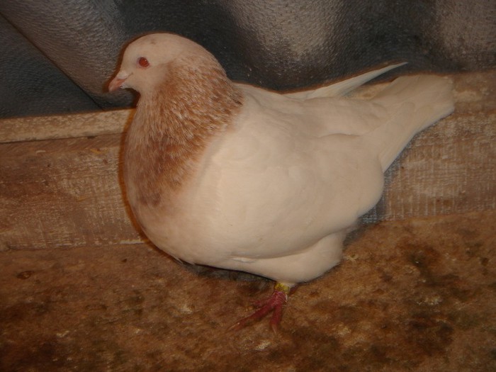 DSC00018