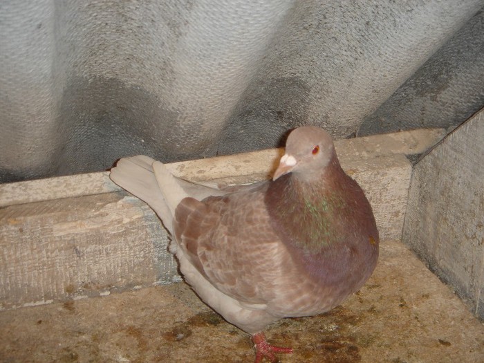 DSC00020