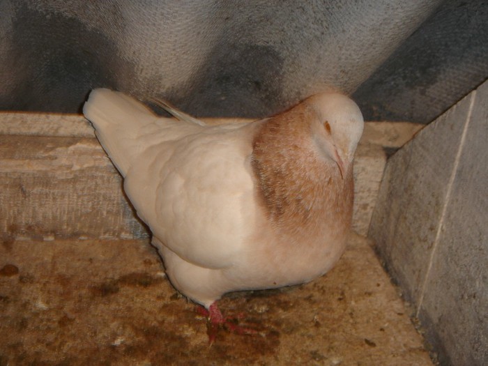 DSC00035