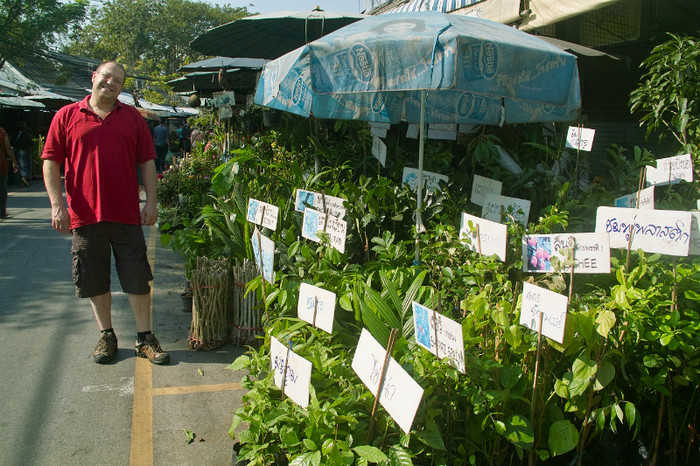 SDIM7132 - Thailand - Chatuchak - plants 2012