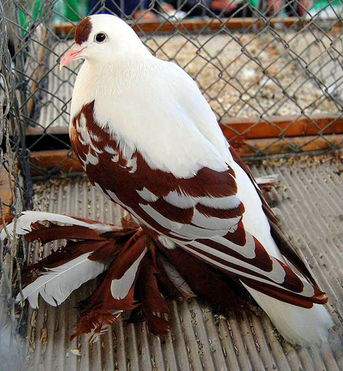 206552_10151336119874311_739758843_n