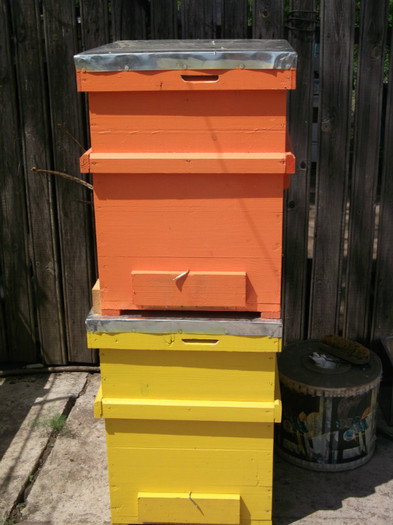 stupi asteptand popularea - apicultura inceput 03 2012