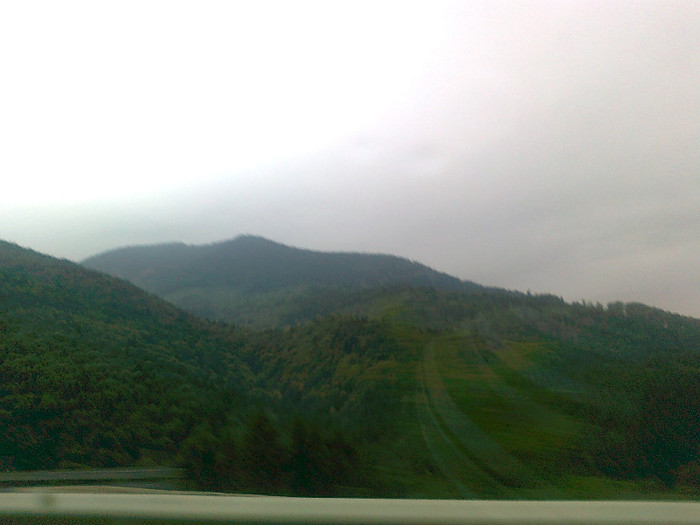 dimineata cetoasa (1)