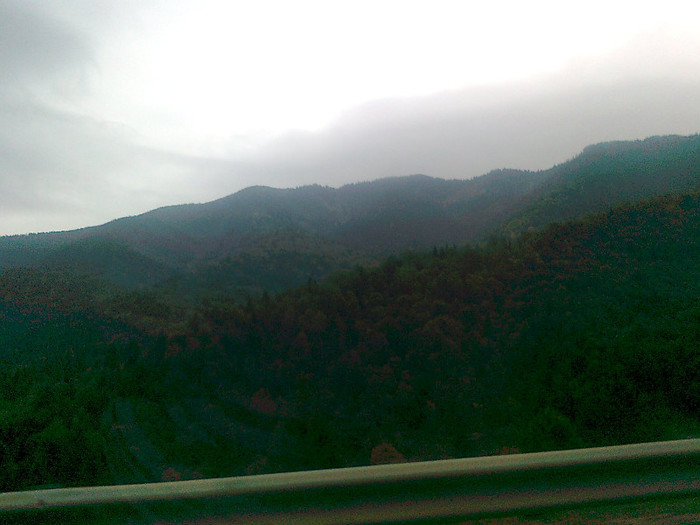 dimineata cetoasa (2)