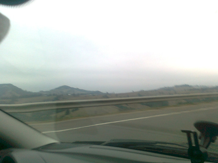 dimineata cetoasa (6)