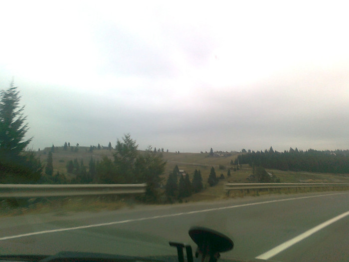 dimineata cetoasa (10)