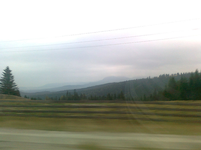 dimineata cetoasa (12)