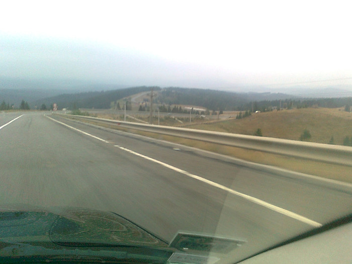 dimineata cetoasa (13)