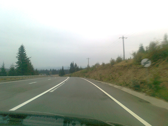 dimineata cetoasa (14)