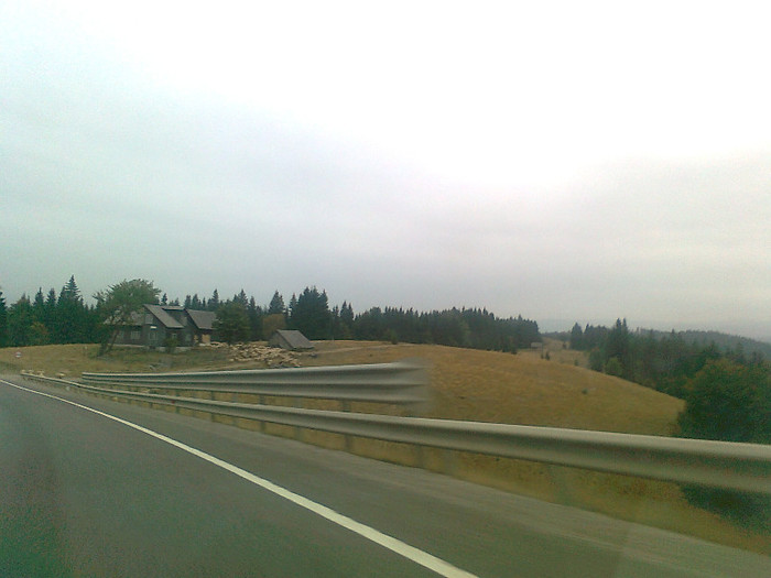 dimineata cetoasa (15)